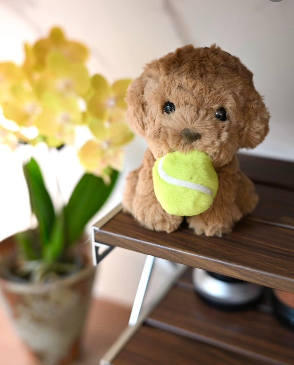 Brown Tennis Puppy Plush